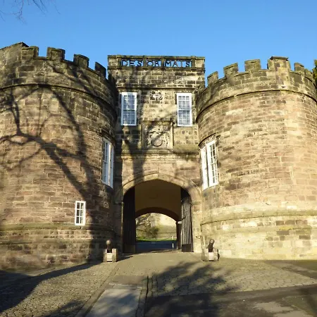 Otter سكيبتون